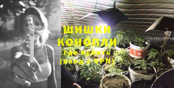 прущие крисы Кулебаки